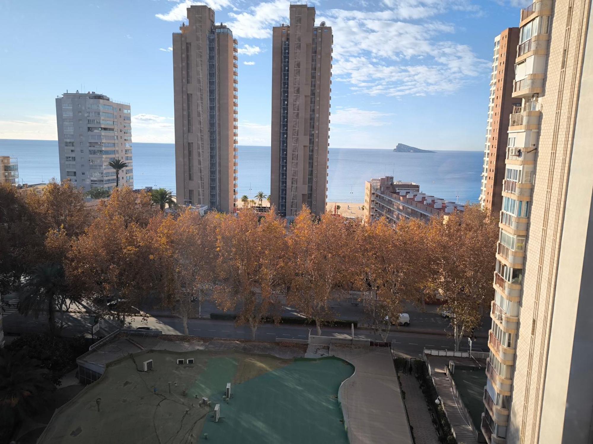 Oca 91 * Benidorm