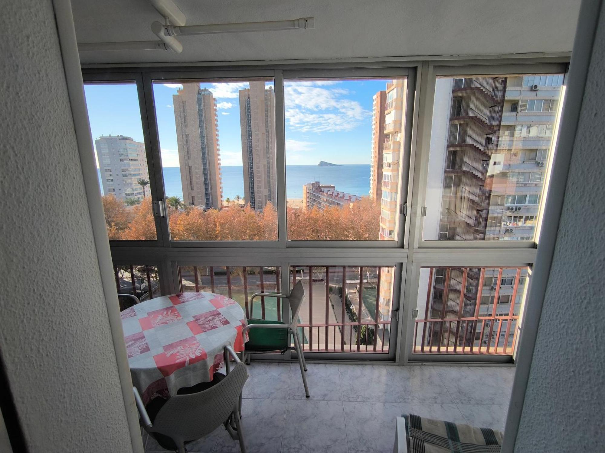 Oca 91 Apartment *